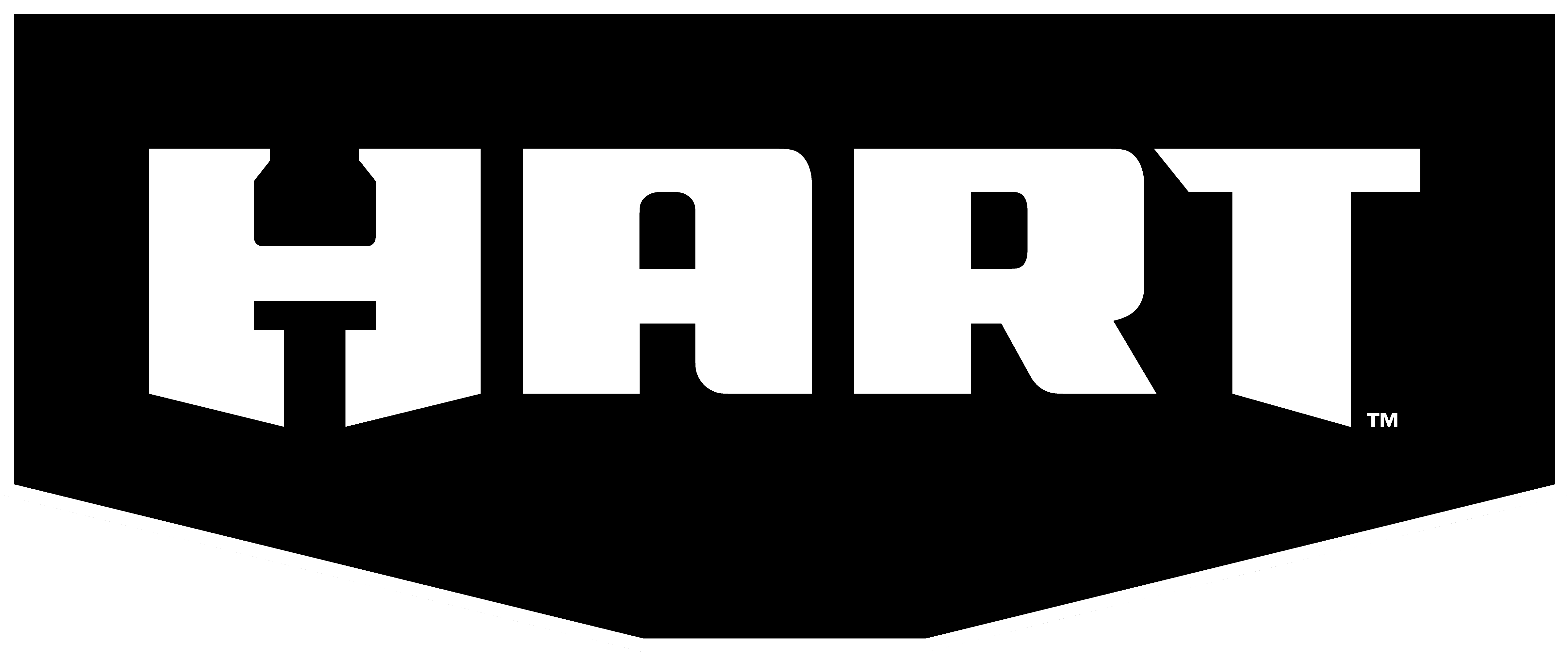 HART 2500 PSI at 1.1 GPM 120V Electric Brushless Cold Water Pressure Washer
