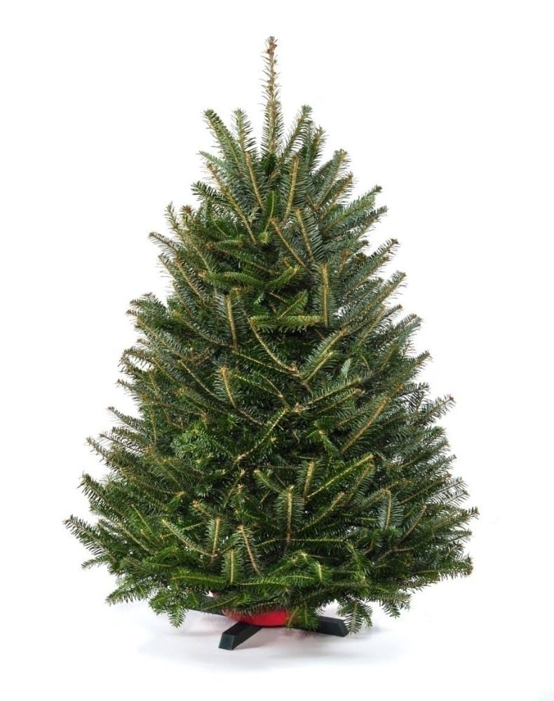 Tabletop Holiday Tree-36