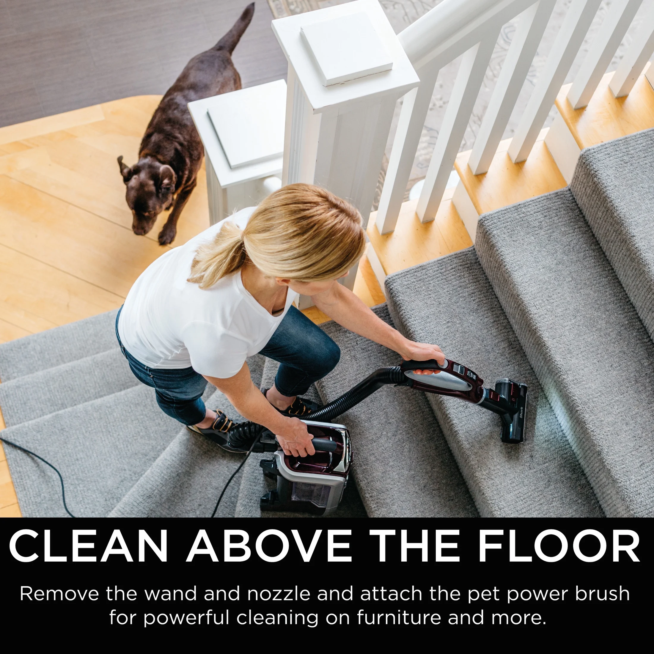 Shark® Rotator® Powered Lift - Away® Truepet® Upright Vacuum