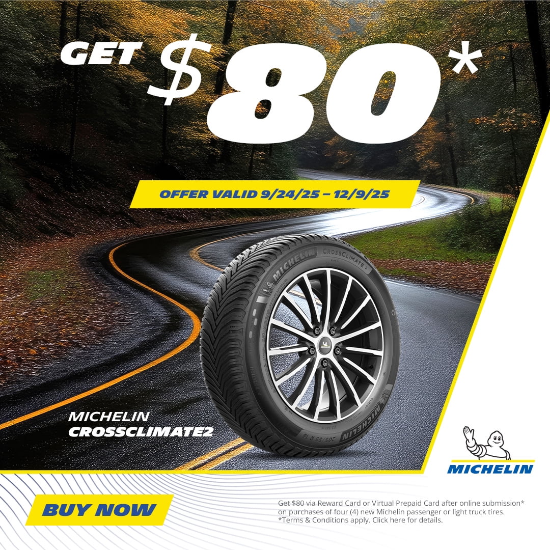 Michelin Energy Saver A/S All-Season 225/50R17 94V Passenger Tire