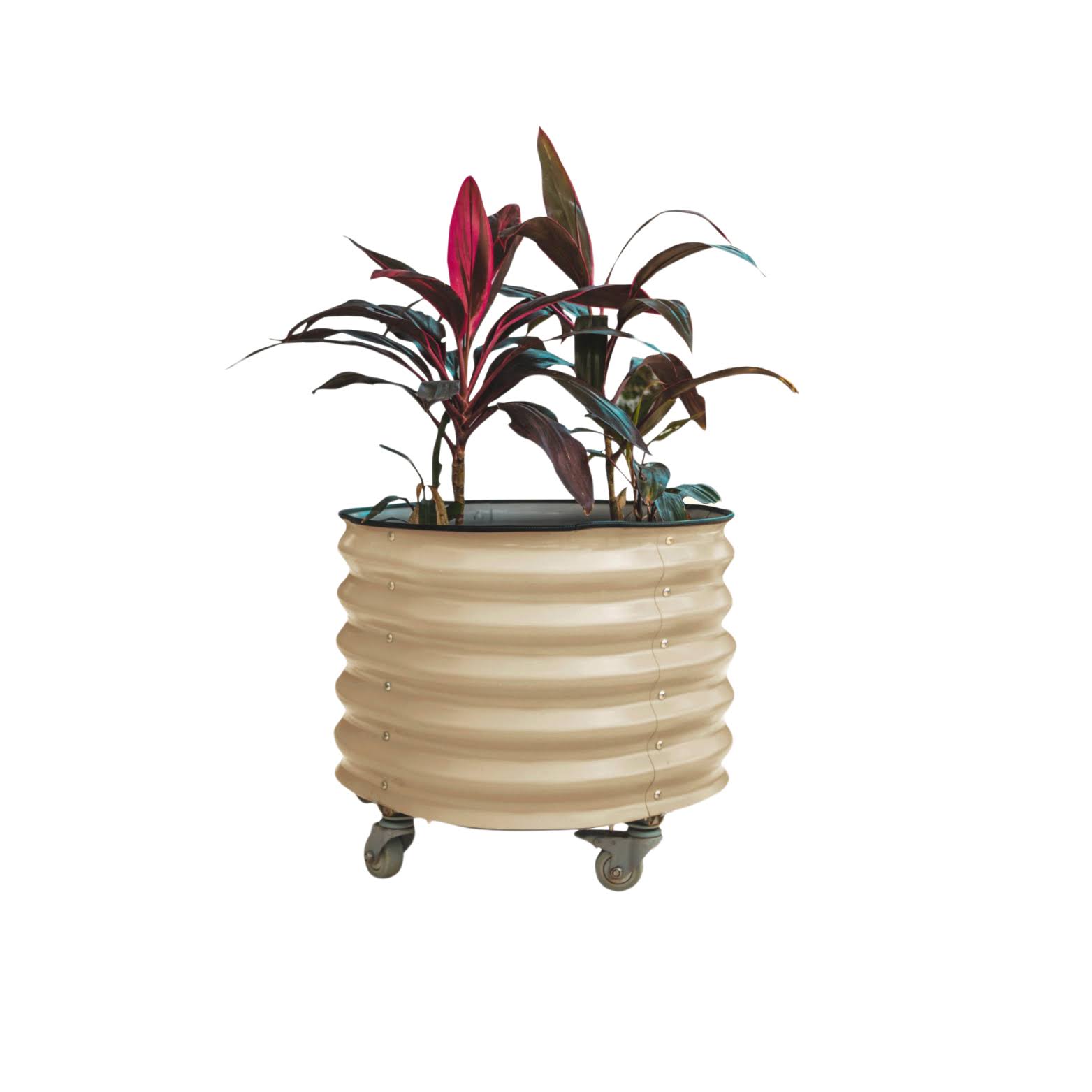 Self-Watering Rolling Planter, Pearl White / Single Pack