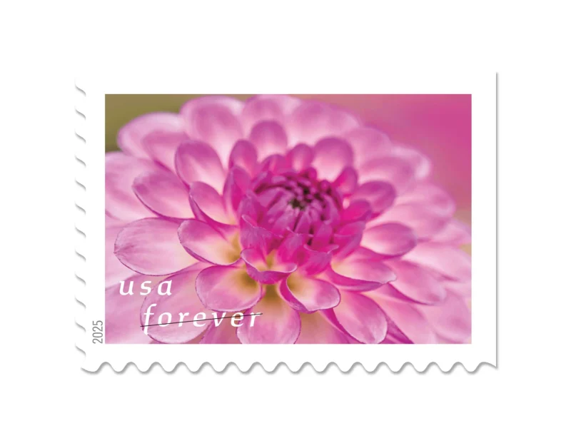 Forever Stamps 2025 Dahlias – Floral Collection. First-Class Postage